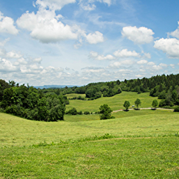 La Source - Saint Laurent - SAINT-LAURENT-EN-GRANDVAUX