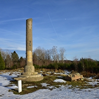 La Montagne de Ternuay - TERNUAY-MELAY-ET-SAINT-HILAIRE