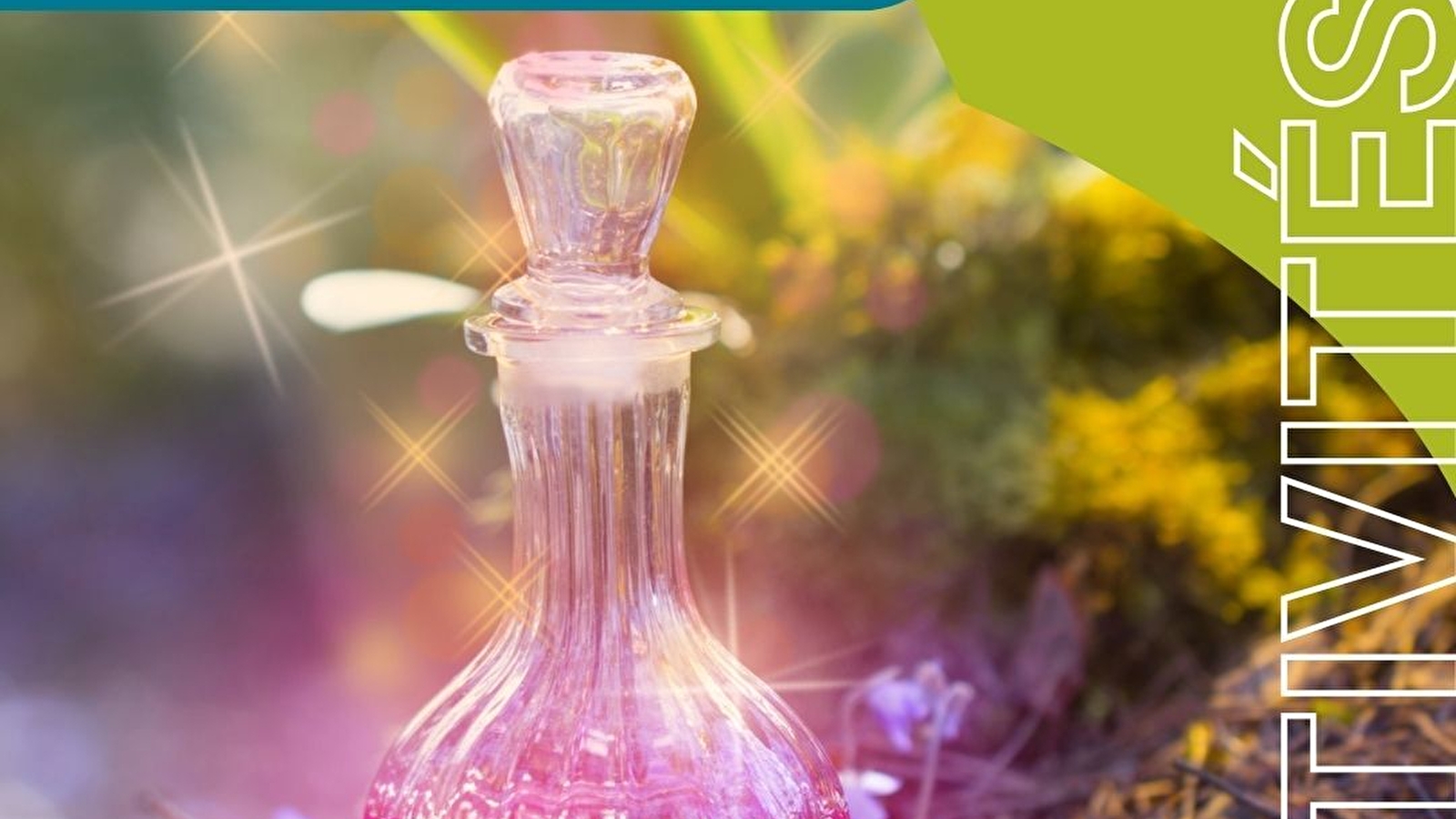 Activité famille 'Potions de sorcières'