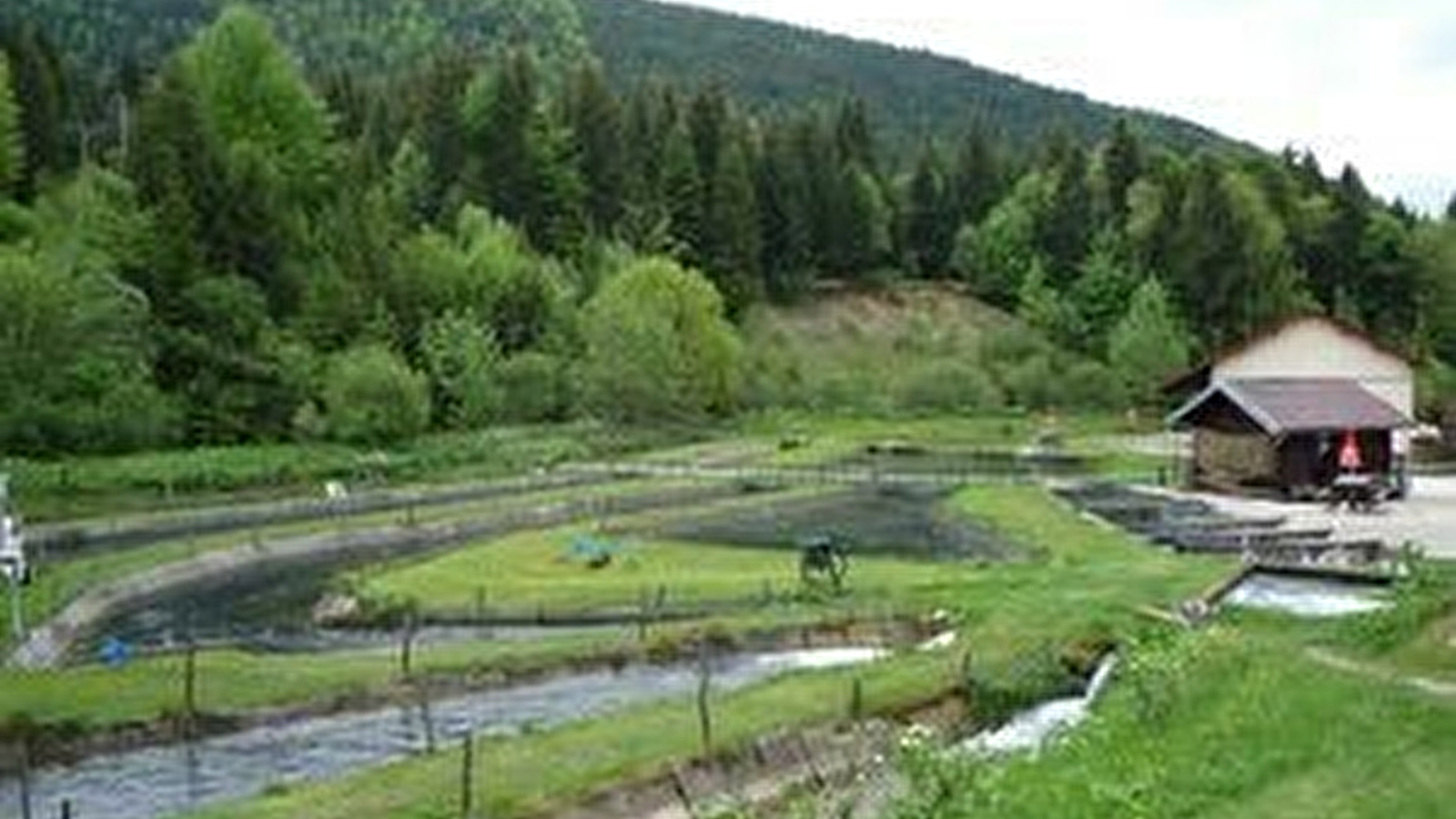Pisciculture Bonnet - Activité Pêche