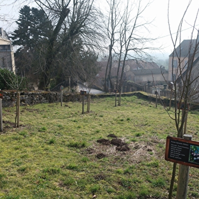 Verger conservatoire de Gemeaux