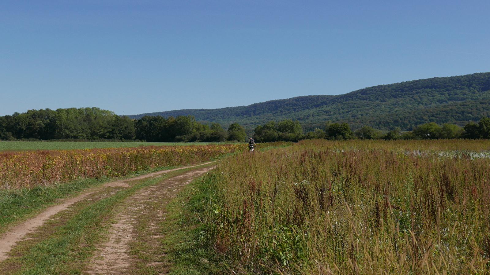 L’Ognon fait la force