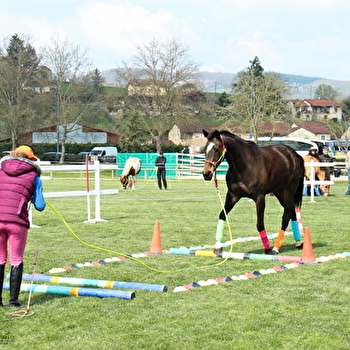 Open BFC  - Concours Hippique  - CLUNY