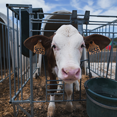 La Ferme de l'Arc en Ciel 