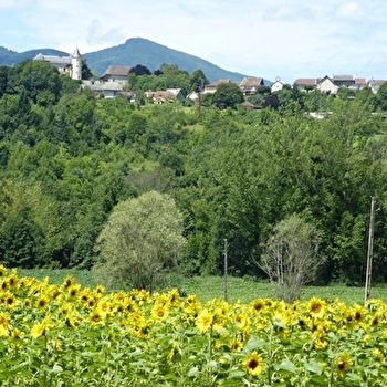 Parcours VTT 3 bleu - Bognens - Les Baraques - Espace FFC Ain Forestière - BELLEY