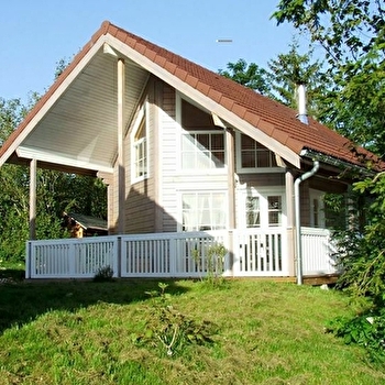 Epicea - CHAUX-DES-CROTENAY