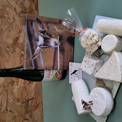 Les Chèvres de la Tuilerie 