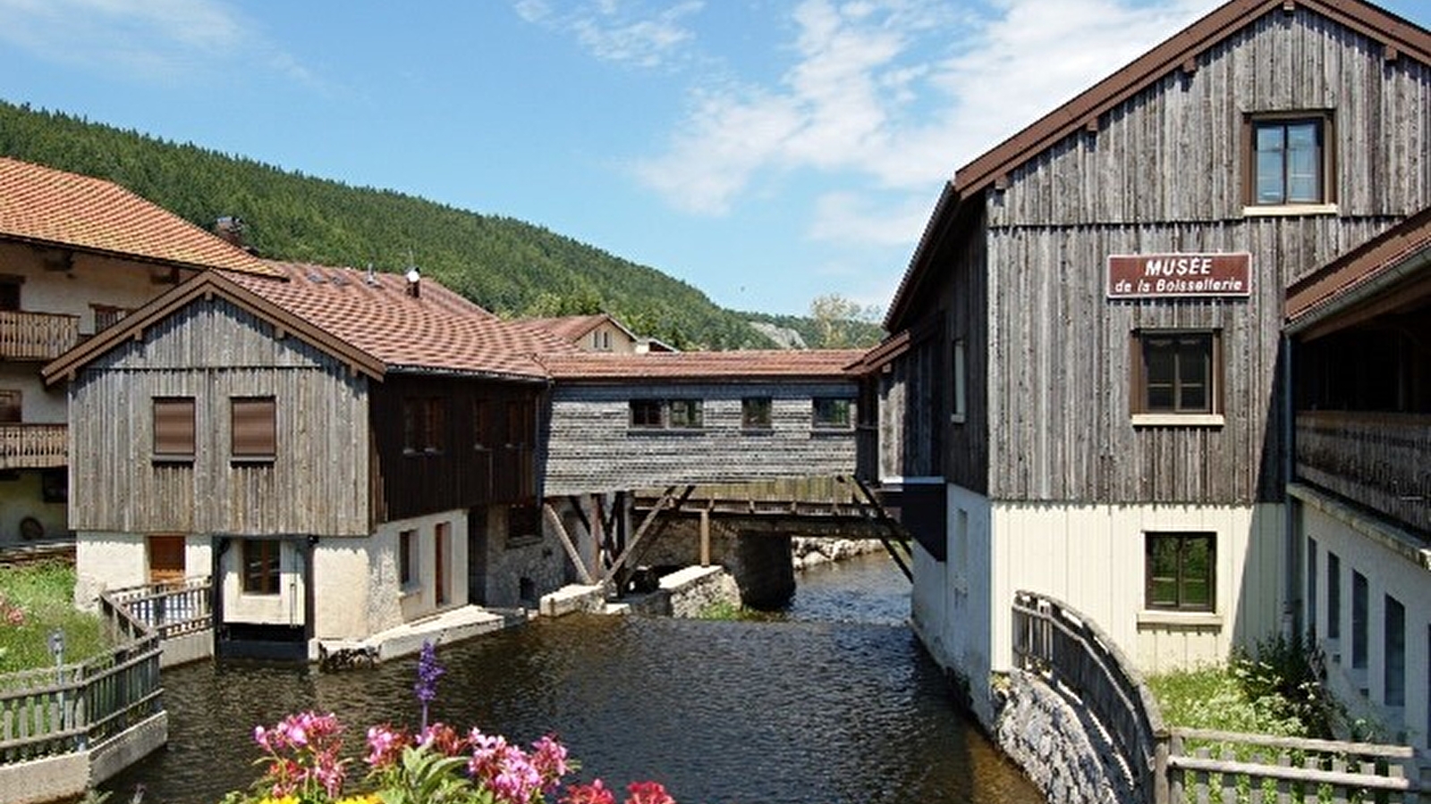 3 jours d'itinérance dans le Haut-Jura - Le lynx intrépide