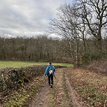 Balade Verte - Le Chêne à La Dame (CH 1) - CHAROLLES