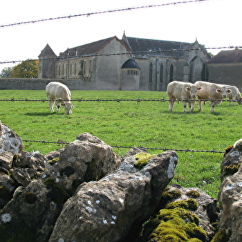 La voie Romaine  - SAINT-LAURENT-EN-BRIONNAIS