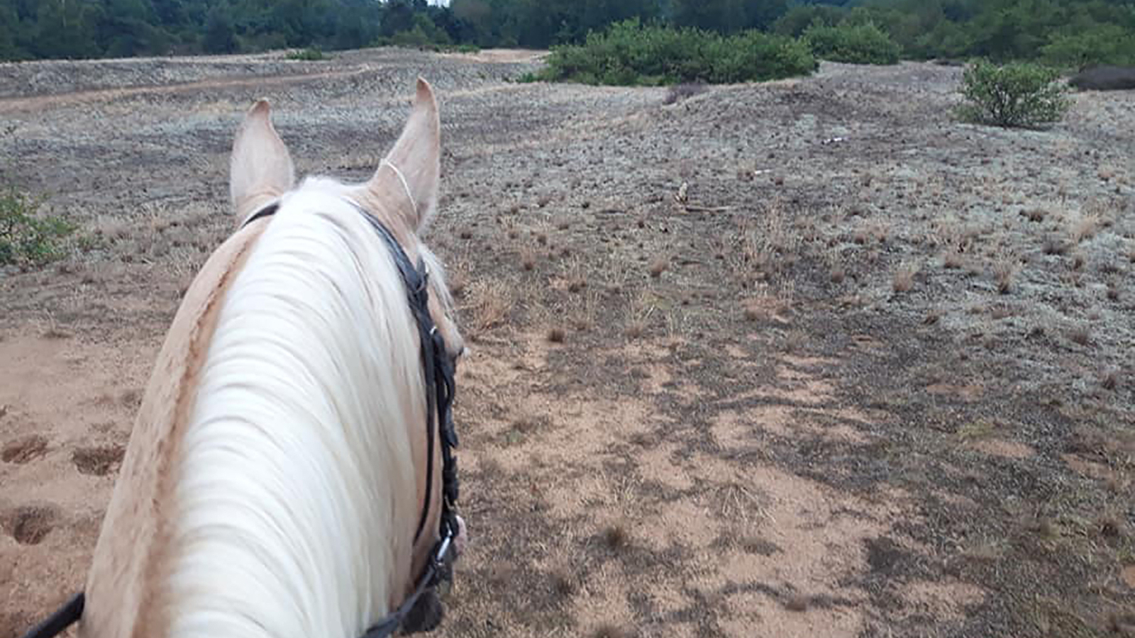 Circuit des prairies du Val de Saône