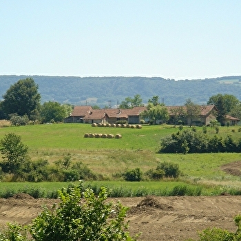 Balade au pied du Revermont - LOUHANS