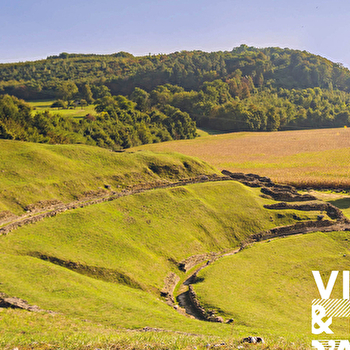 Animations du patrimoine : Le théâtre d'Epomanduorurum - MANDEURE
