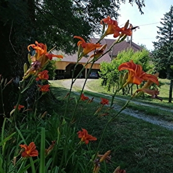 Gîte de la Corne au Cerf - FRONTENAY