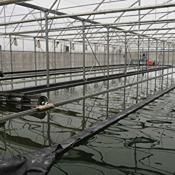 Visite ferme spiruline et méthanisation - MEURCOURT