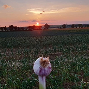 Les Jardins de Villaines - POUGNY