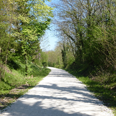 La Ligne des Escargots