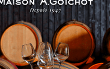 Maison André Goichot – Côté Caves : Visite Dégustation « prestige » (6 vins) - BEAUNE
