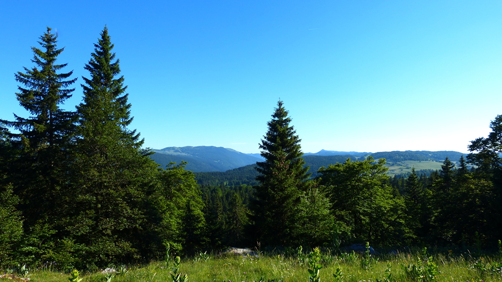 Le Crêt de la Vigoureuse 