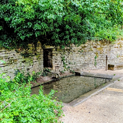 La fée des pelouses sèches vous invite dans son royaume