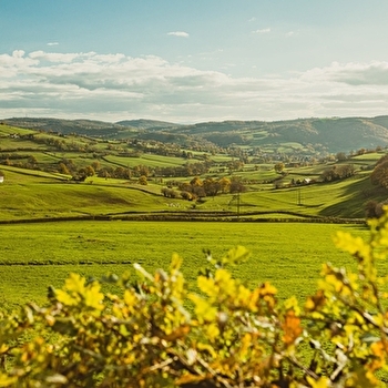 Bellevue - SAINT-SYMPHORIEN-DE-MARMAGNE