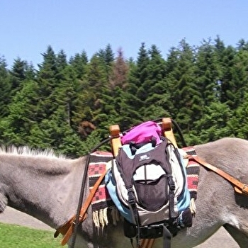 Balades en ânes 'association bel'ane' - BELLEHERBE