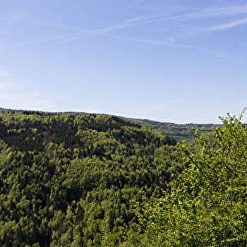 Les Cuisiniers - MORBIER