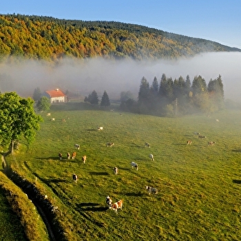 Tour du Gros Crêtet - 30B - LES ROUSSES