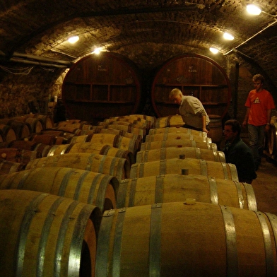 Château des Correaux - Bernard Germain