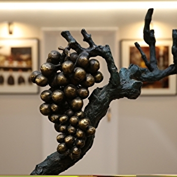 Les Cépages - ARBOIS