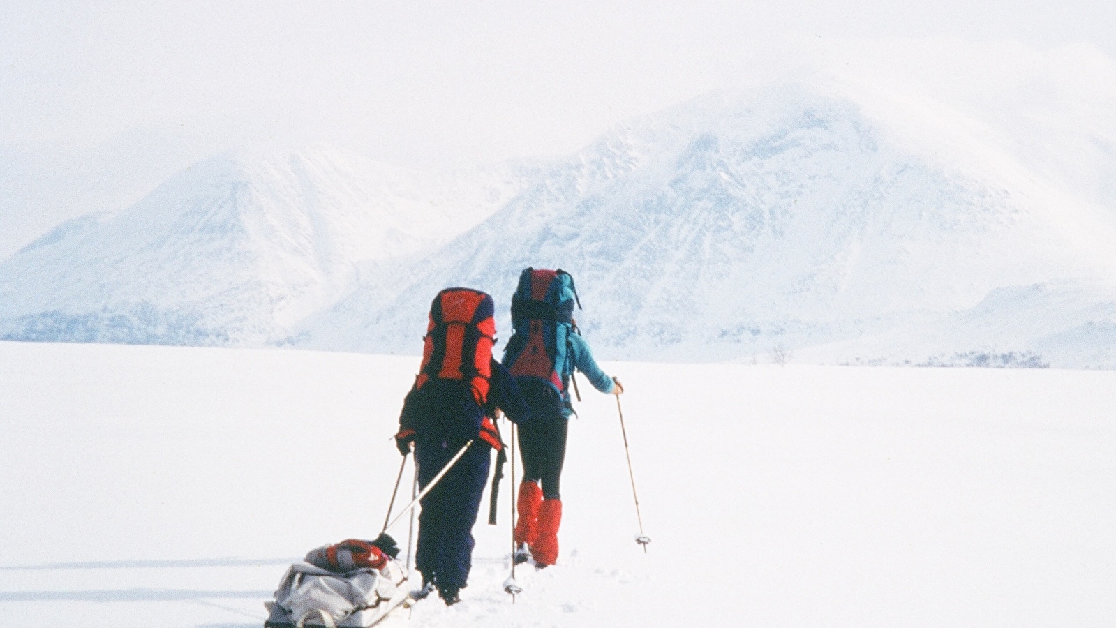 Conférence 'Découvrir le Groenland : s’aventurer en milieu froid et en haute altitude » 