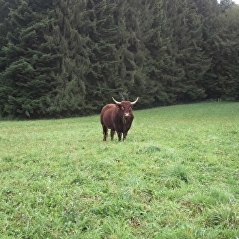 La Ferme de la Côte - AUGISEY