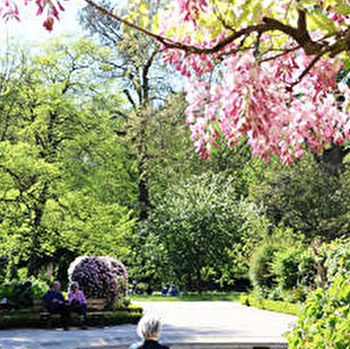 Jardin de l'Arquebuse - Jardin botanique - DIJON