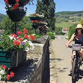 Boucle sur les véloroutes de la Bourgogne du Sud - CHALON-SUR-SAONE