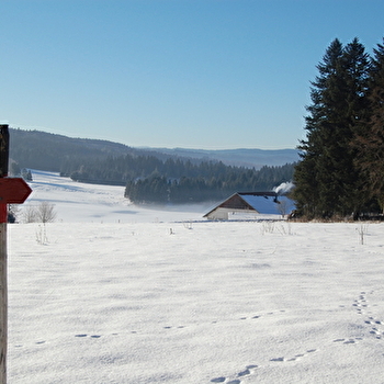 Association 'Ski de fond du Val de Vennes' - FOURNETS-LUISANS