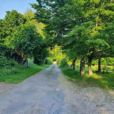 Ferme Equestre Gateau Stables : séjour linguistique-équitation et balades et leçons à poney et cheval