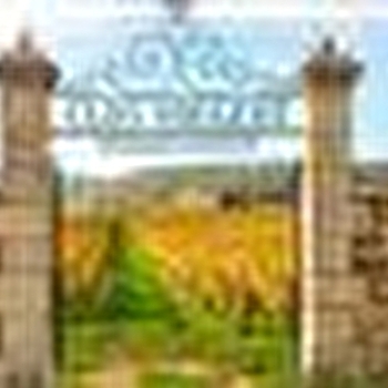 Chateau Vélo Vino en Côte de Nuits - DIJON