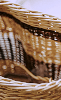 Les Paniers de Cha - ECOLE-VALENTIN