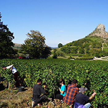 Renoud Grappin Pascal - DAVAYE