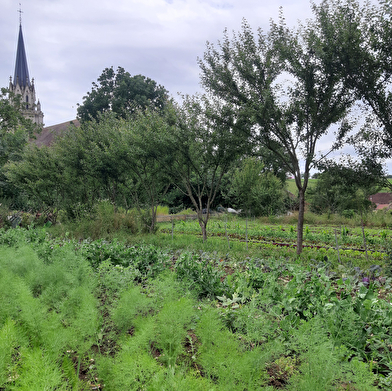 Les jardins et la conserverie de Théophile