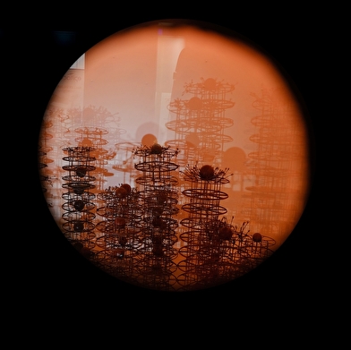 Exposition 'Le Nid des Djinns rougissants'