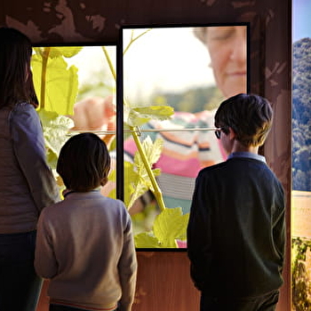 Louis Bouillot  - NUITS-SAINT-GEORGES