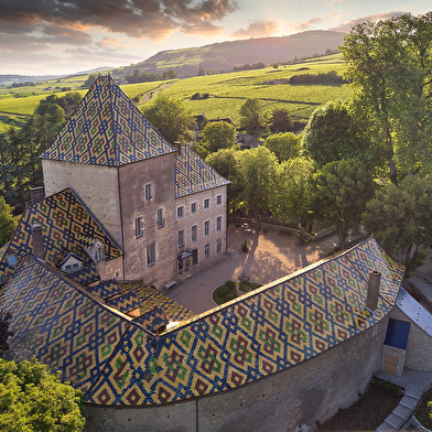 Visite dégustation spéciale Vente des Vins 2025 au Domaine du Château Philippe le Hardi