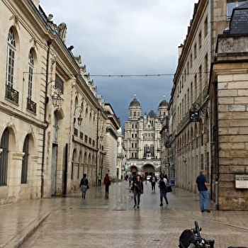 Dijon Bike Tours - Bourgogne Évasion by Active Tours - DIJON