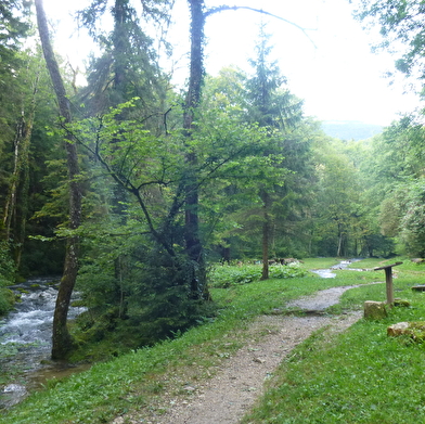 Promenade des Sources de l'Allondon