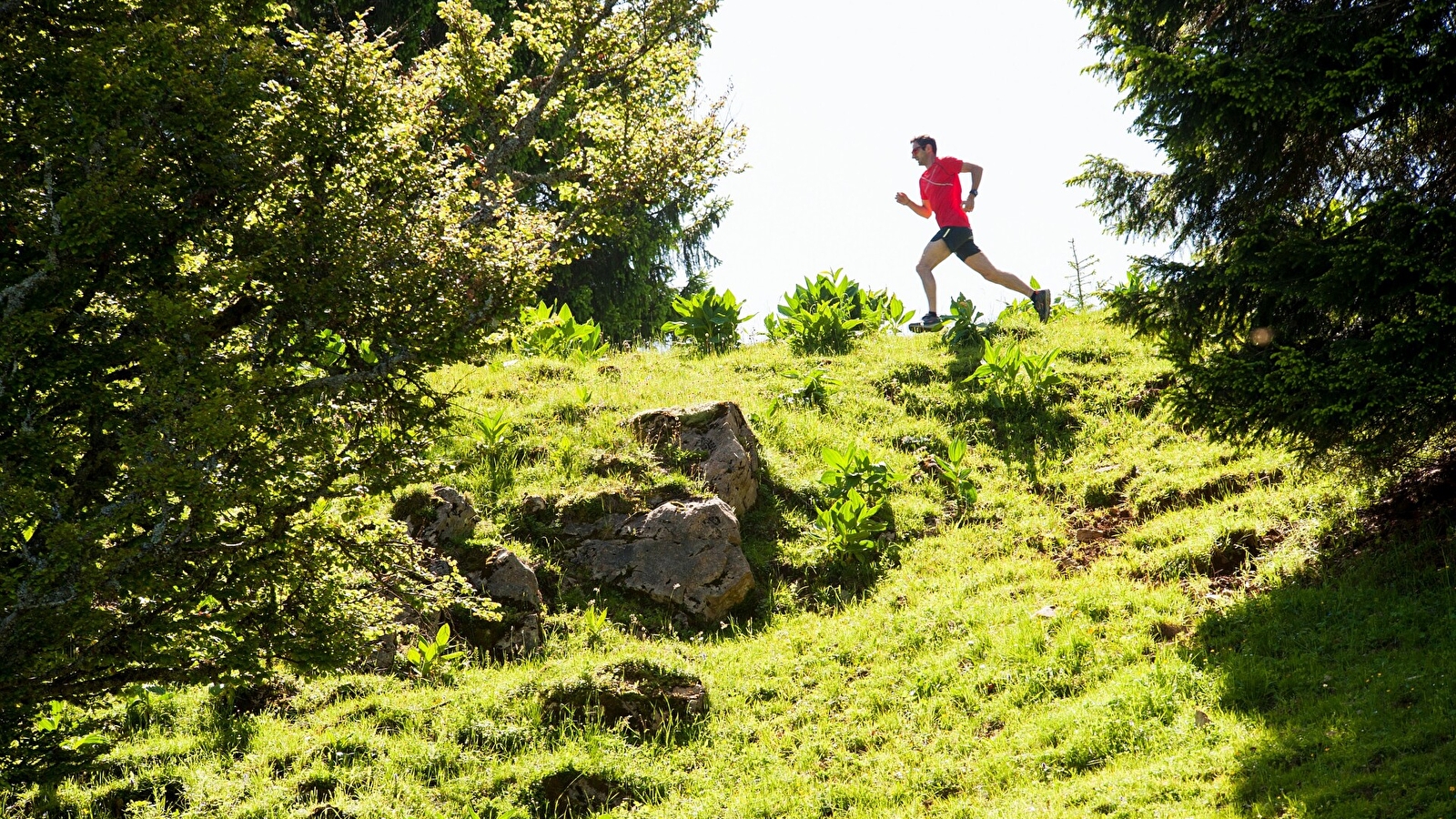 Le Tour du Plateau du Lizon - 18R