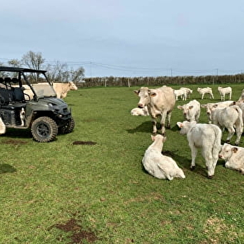 Safagri du Labymaïs - CHATILLON-EN-BAZOIS