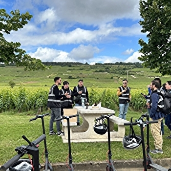 Trott’en Vigne - NUITS-SAINT-GEORGES