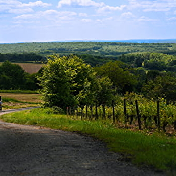 Fûts et Vignobles - Les Bertranges à vélo - MURLIN