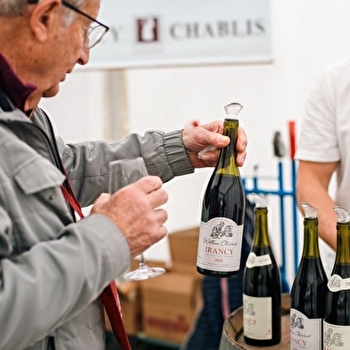 Pass visites Fleurs de Vignes  - AUXERRE